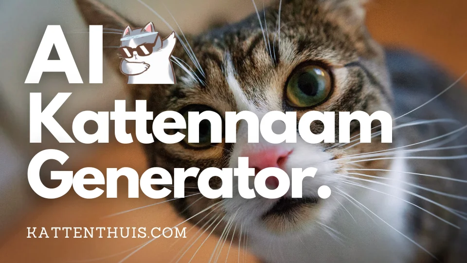 AI kattennaam generator